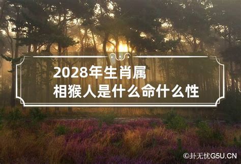 2028 生肖|2028年出生的属什么,2028年是什么生肖